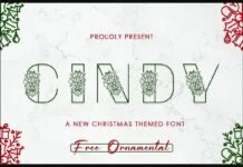 Cindy Font Cindy Font Poster 1