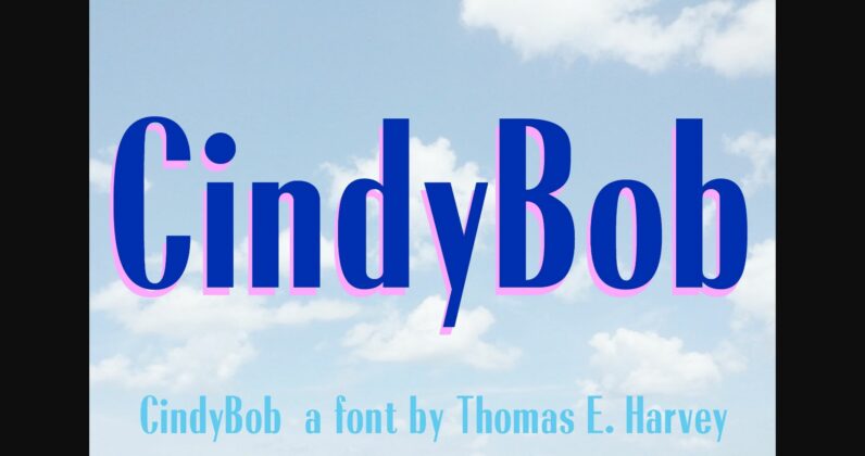 CindyBob Font Poster 4