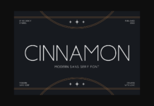 Cinnamon Font Poster 1