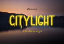 Citilight Font Poster 1