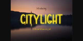 Citilight Font Poster 1