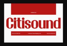 Citisound Font Poster 1