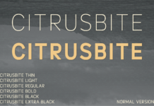 Citrusbite Font Poster 1