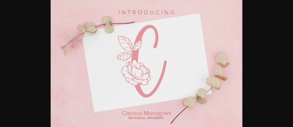 Clarissa Monogram Font Poster 3