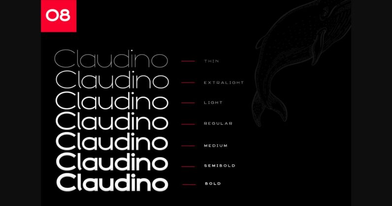 Claudino Font Poster 10