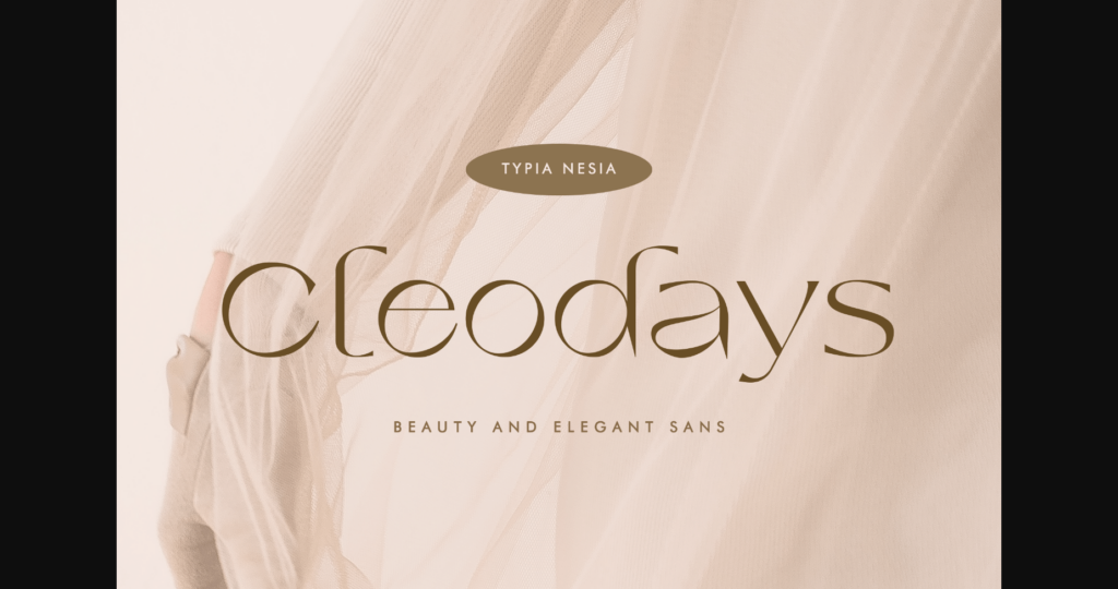 Cleodays Font Poster 1