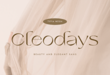 Cleodays Font Poster 1