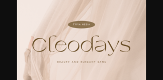 Cleodays Font Poster 1