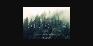 Cluster Font Poster 1