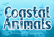 Coastal Animals Font Poster 1