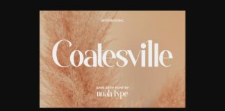 Coatesville Font Poster 1