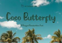 Coco Butterfly Font Poster 1