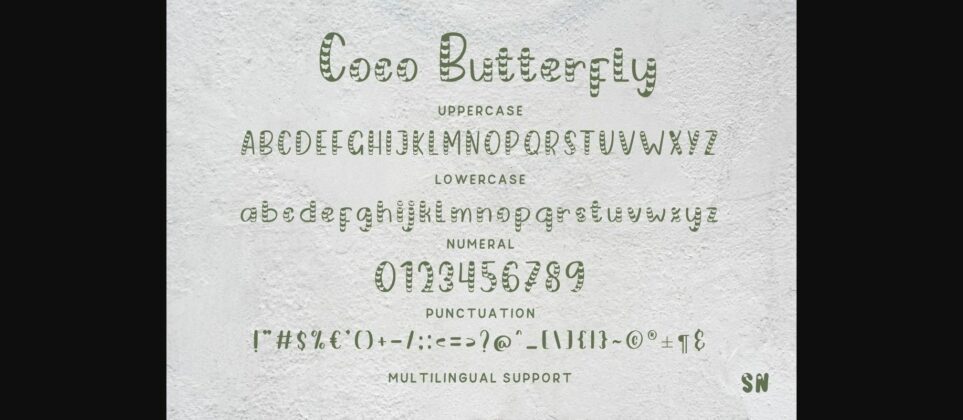 Coco Butterfly Font Poster 6