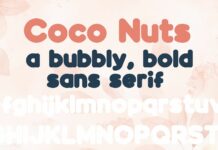 Coco Nuts Font Poster 1