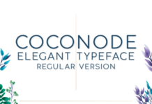 Coconode Font Coconode Font