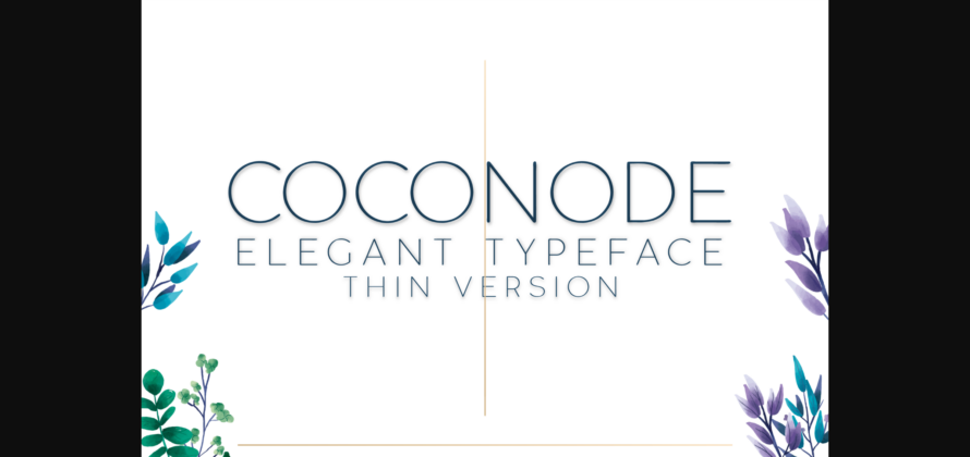 Coconode Thin Font Poster 3