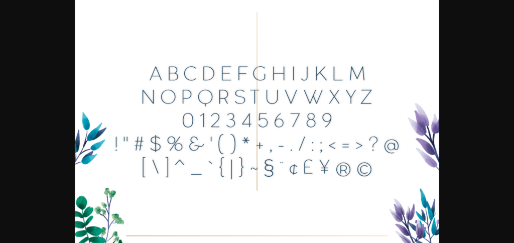Coconode Thin Font Poster 4
