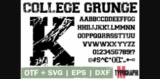College Grunge Font Poster 1