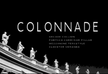 Colonnade Font Poster 1