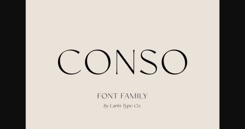 Conso Font Poster 3