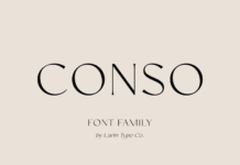 Conso Font Conso Font Poster 1