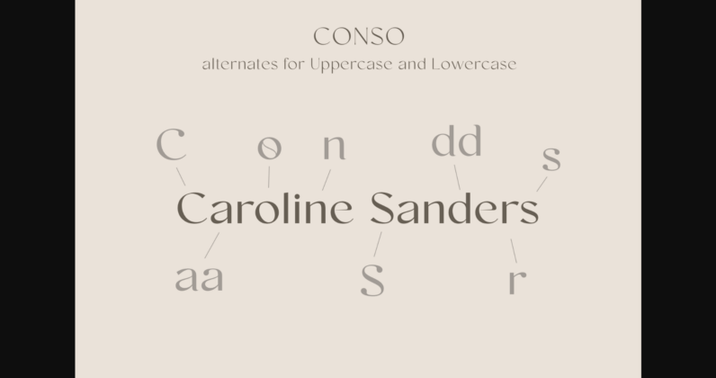 Conso Font Poster 10