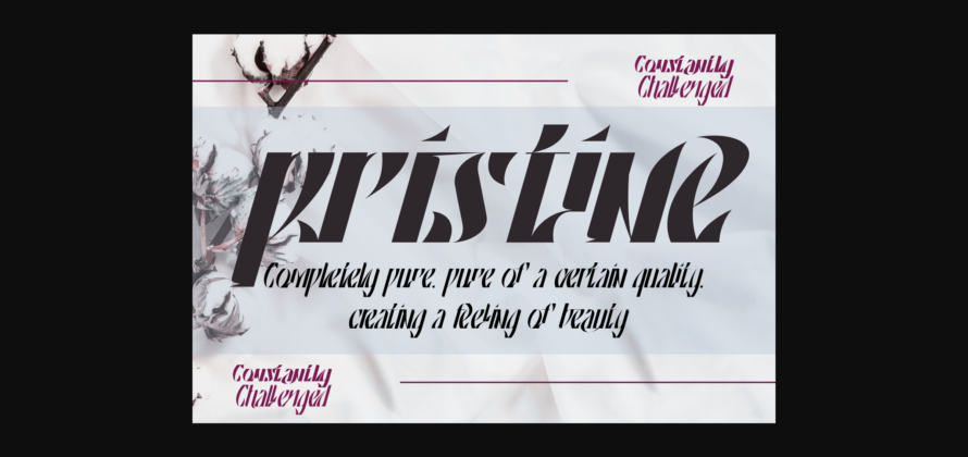 Constantly Challenged Font Poster 2