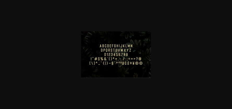 Coolette Font Poster 5