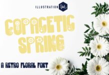 Copacetic Spring Font Poster 1