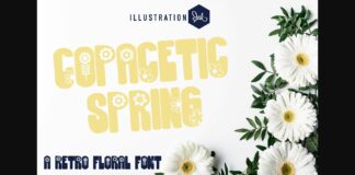 Copacetic Spring Font Poster 1