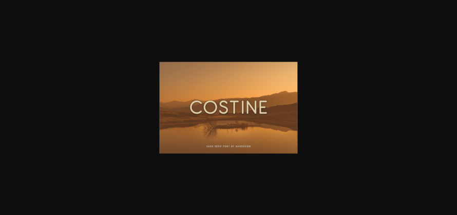 Costine Font Poster 3