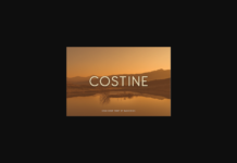 Costine Font Poster 1