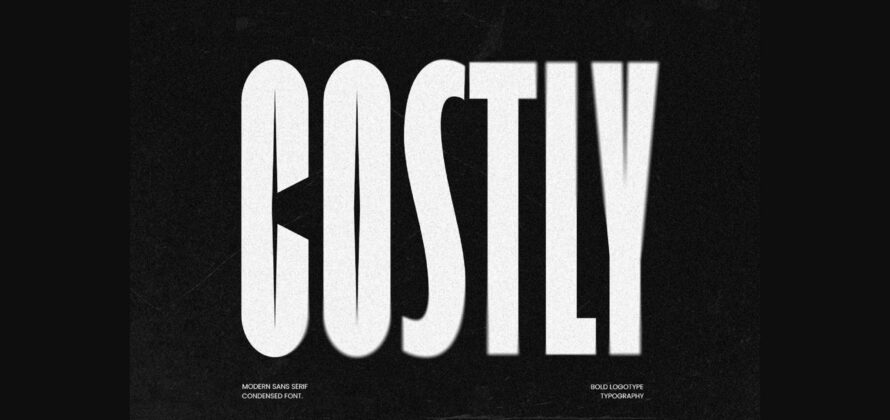 Costly Font Poster 3
