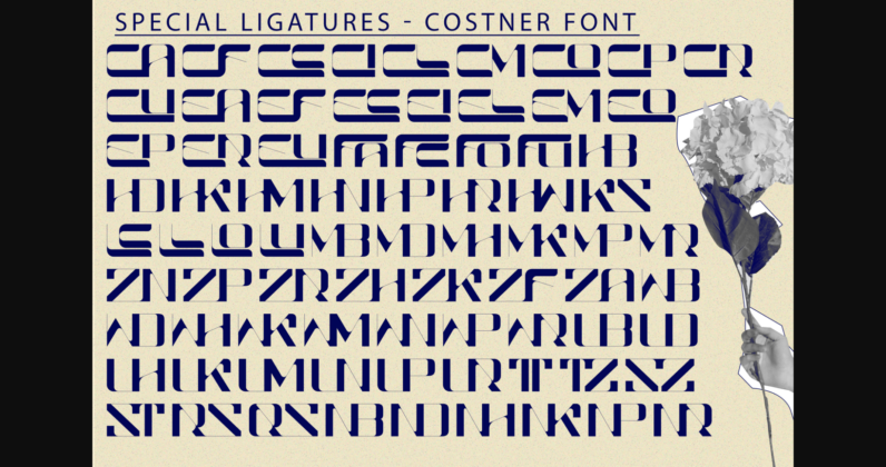 Costner Font Poster 9