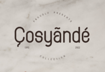 Cosyande Font Poster 1