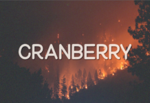 Cranberry Font Poster 1