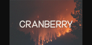 Cranberry Font Poster 1