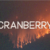 Cranberry Font