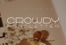Crowdy Monoletter Font Poster 1
