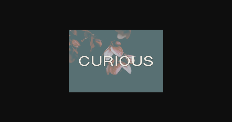 Curious Font Poster 3