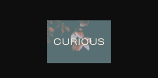 Curious Font Poster 1