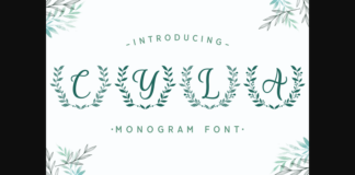 Cyla Font Poster 1