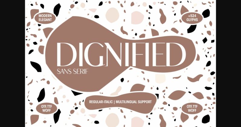 Dignified Font Poster 3