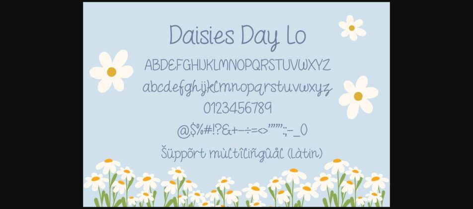 Daisies Day Lo Font Poster 4