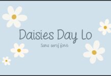 Daisies Day Lo Font Poster 1