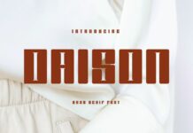 Daison Font Poster 1