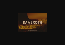 Dameroth Font Poster 1