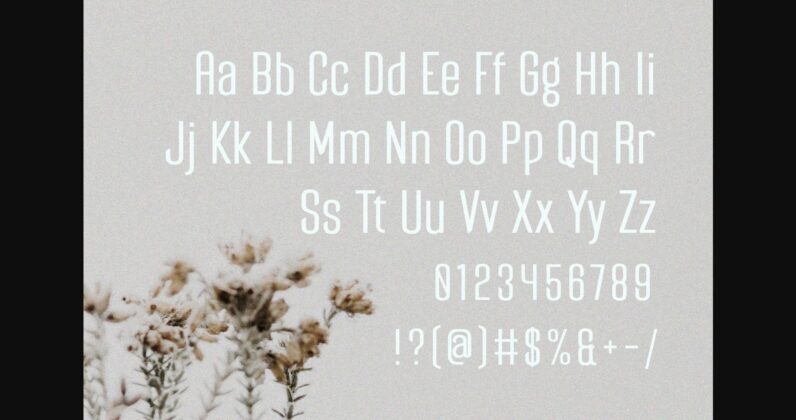 Davossy Font Poster 8