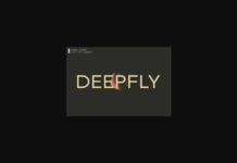 Deepfly Font Poster 1