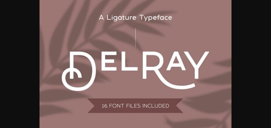 Delray Font Poster 3